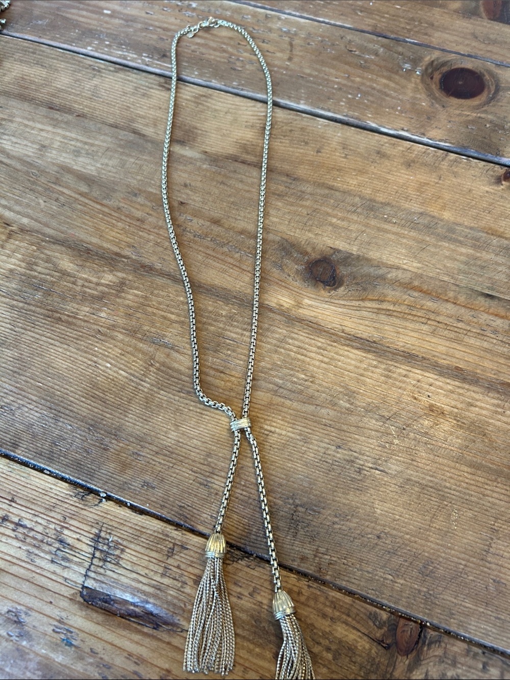 J. Crew Gold Tassel Lariat Necklace